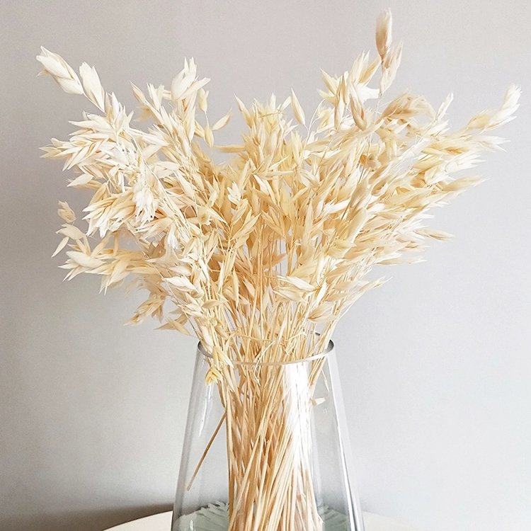 Sumflora 100 Days Party Novelty Forever Long Lasting Eternal flower Preserved flower Glass Dome Gifts dry flowers wheat