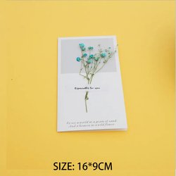 J-myosotis