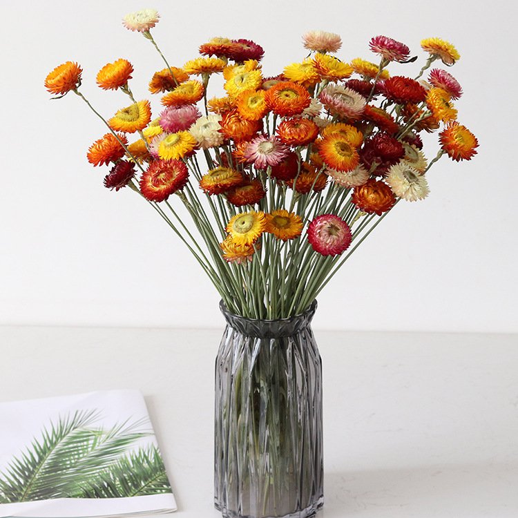 AX-38 Hot Selling Real Eternal Preserved Daisy Long-lasting Dried Straw Flowers for Christmas and Wedding Decorations