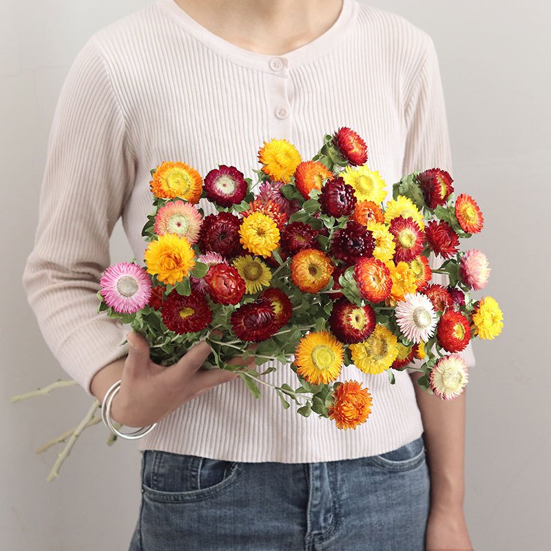 AX-38 Hot Selling Real Eternal Preserved Daisy Long-lasting Dried Straw Flowers for Christmas and Wedding Decorations