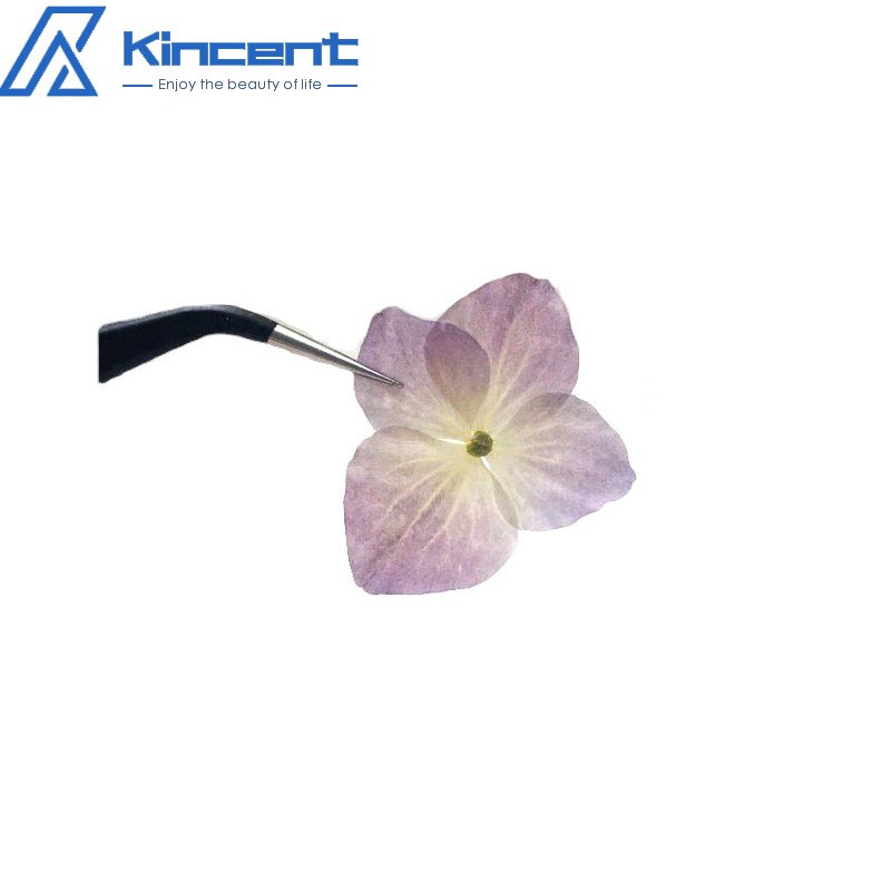 Factory Direct Dried Natural Pressed Hydrangea Flower Embossed DIY Drip Glue Flowers Dried Flower Accessories