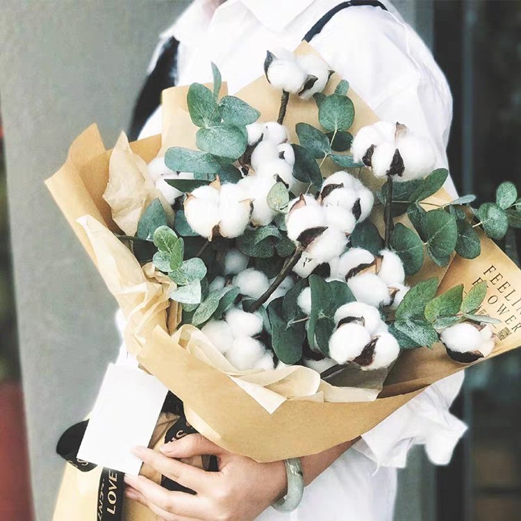 SumFlora instagram Decor flower artificial dried cotton for garden decoration