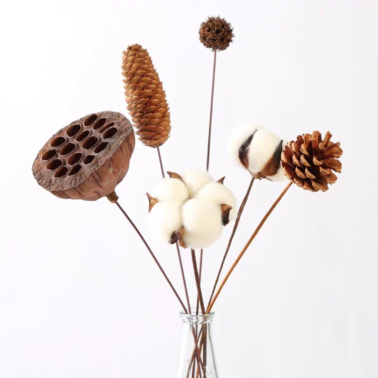 SumFlora instagram Decor flower artificial dried cotton for garden decoration