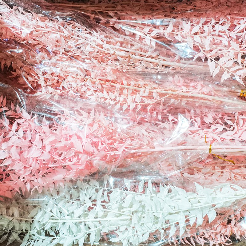 Wholesale Natural Preserved Bleached Eucalyptus Leaves Bundles Dried Real White Eucalyptus Italian Ruscus Stems