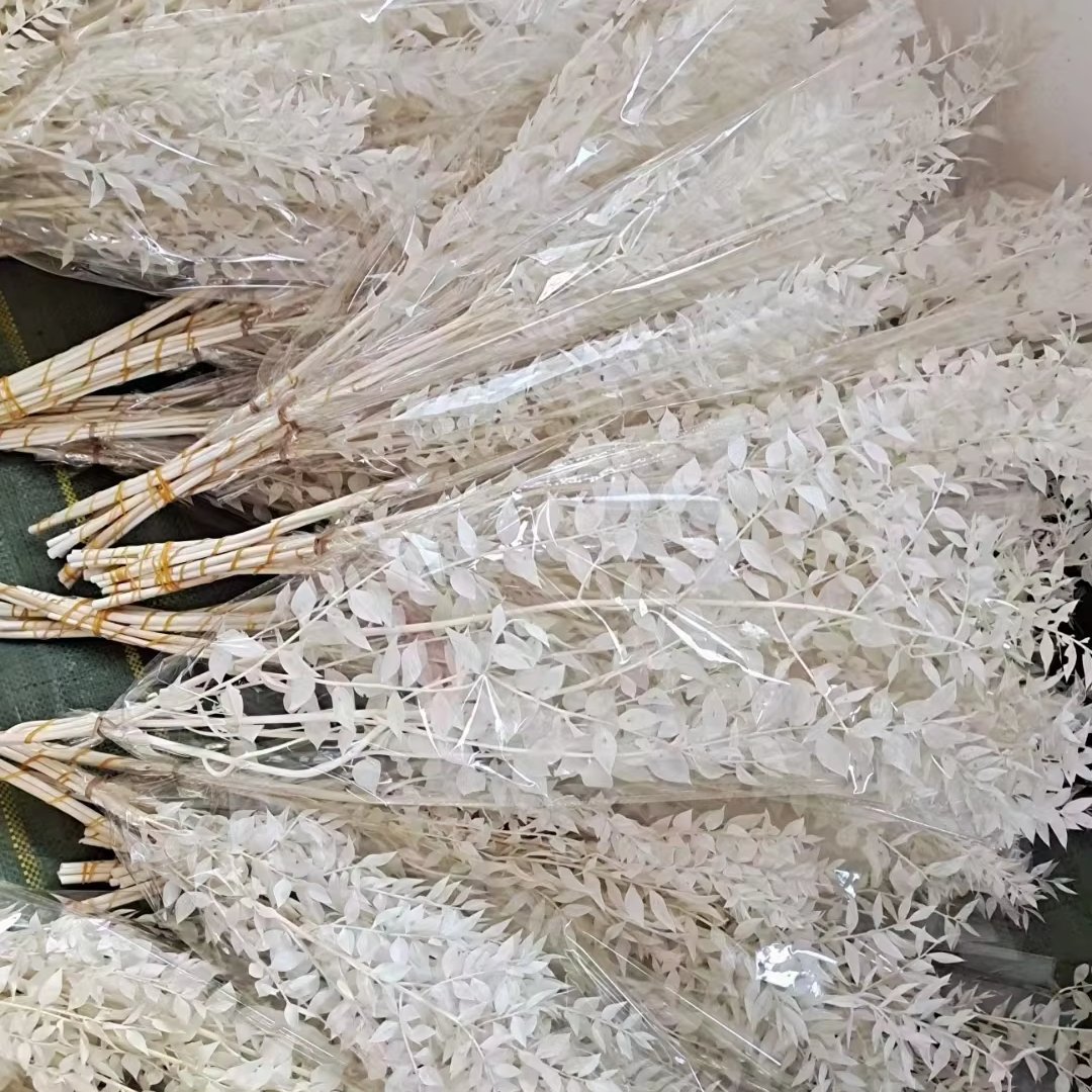 Wholesale Natural Preserved Bleached Eucalyptus Leaves Bundles Dried Real White Eucalyptus Italian Ruscus Stems