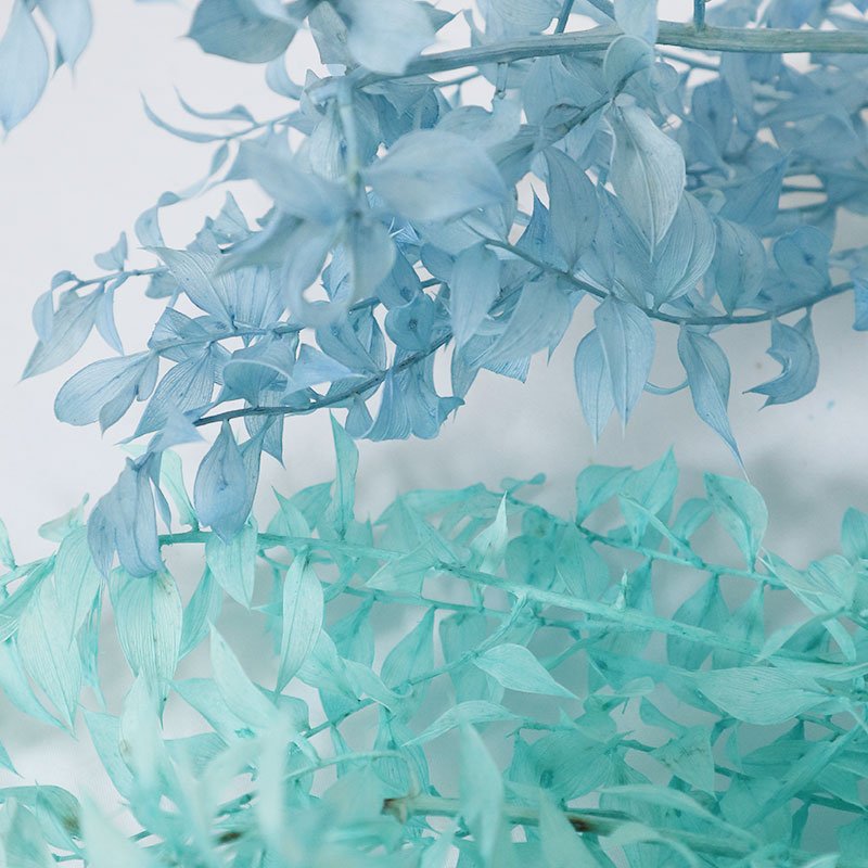Wholesale Natural Preserved Bleached Eucalyptus Leaves Bundles Dried Real White Eucalyptus Italian Ruscus Stems