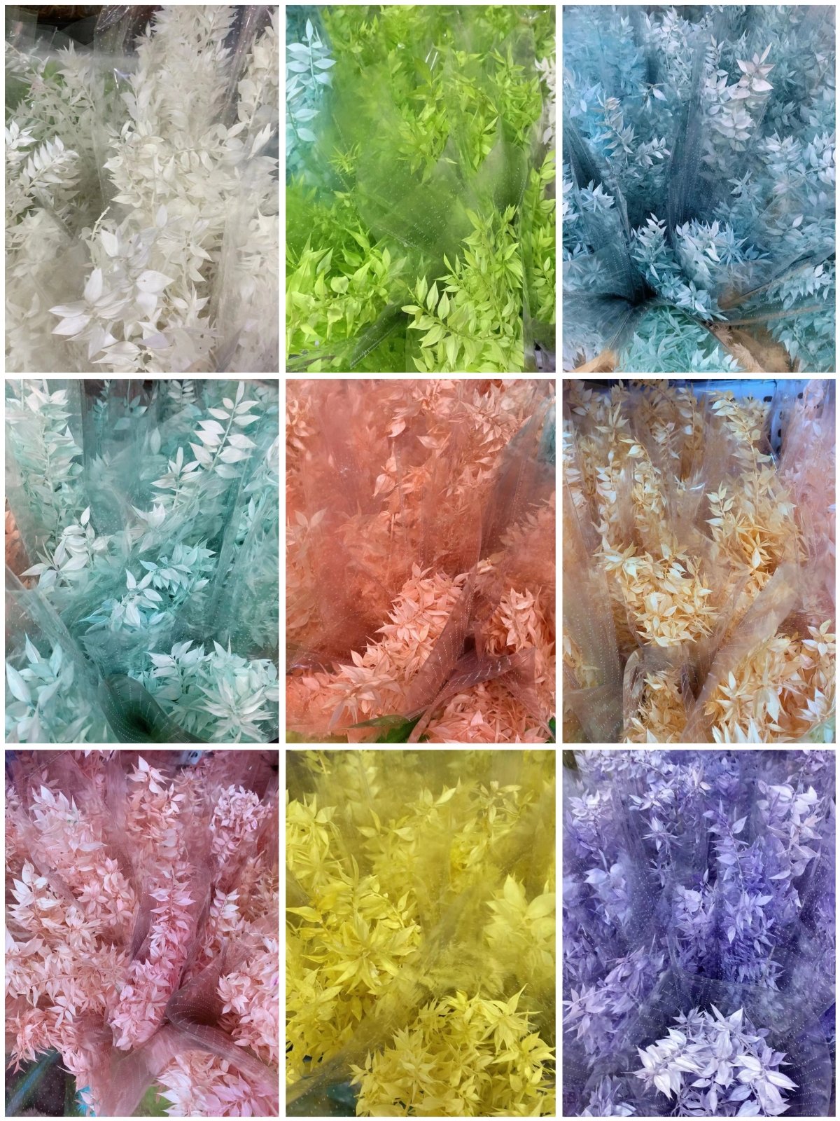 Wholesale Natural Preserved Bleached Eucalyptus Leaves Bundles Dried Real White Eucalyptus Italian Ruscus Stems