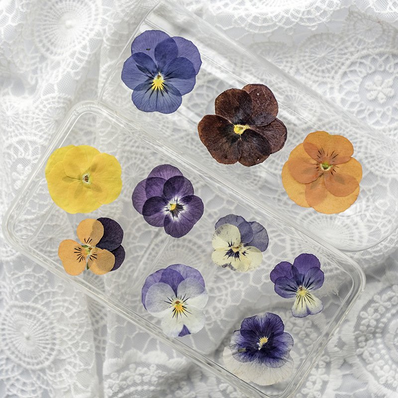 Real Dried Pressed Flower Pansy Flower For Resin Art Candle Making