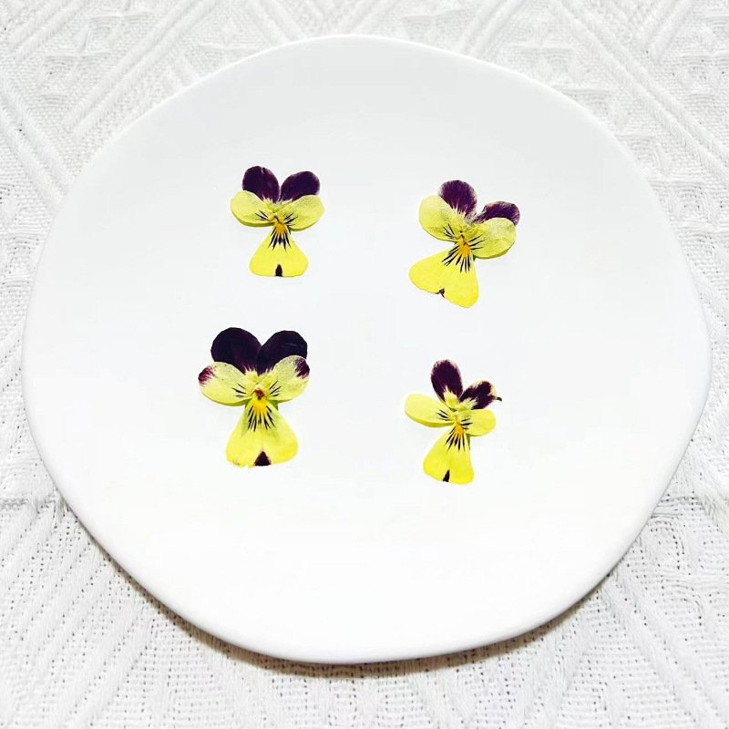 Real Dried Pressed Flower Pansy Flower For Resin Art Candle Making