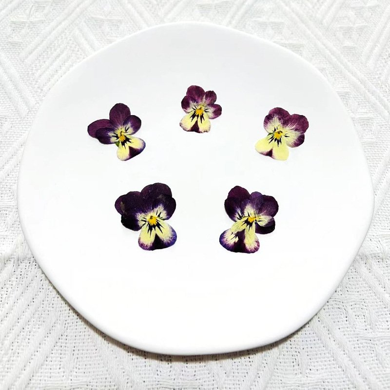 Real Dried Pressed Flower Pansy Flower For Resin Art Candle Making