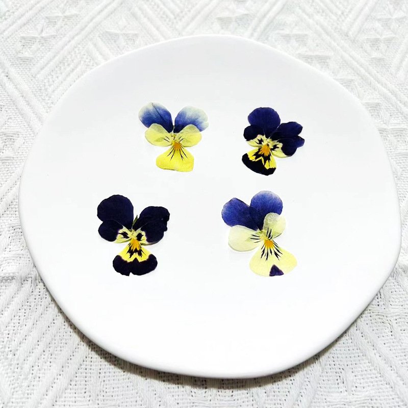 Real Dried Pressed Flower Pansy Flower For Resin Art Candle Making