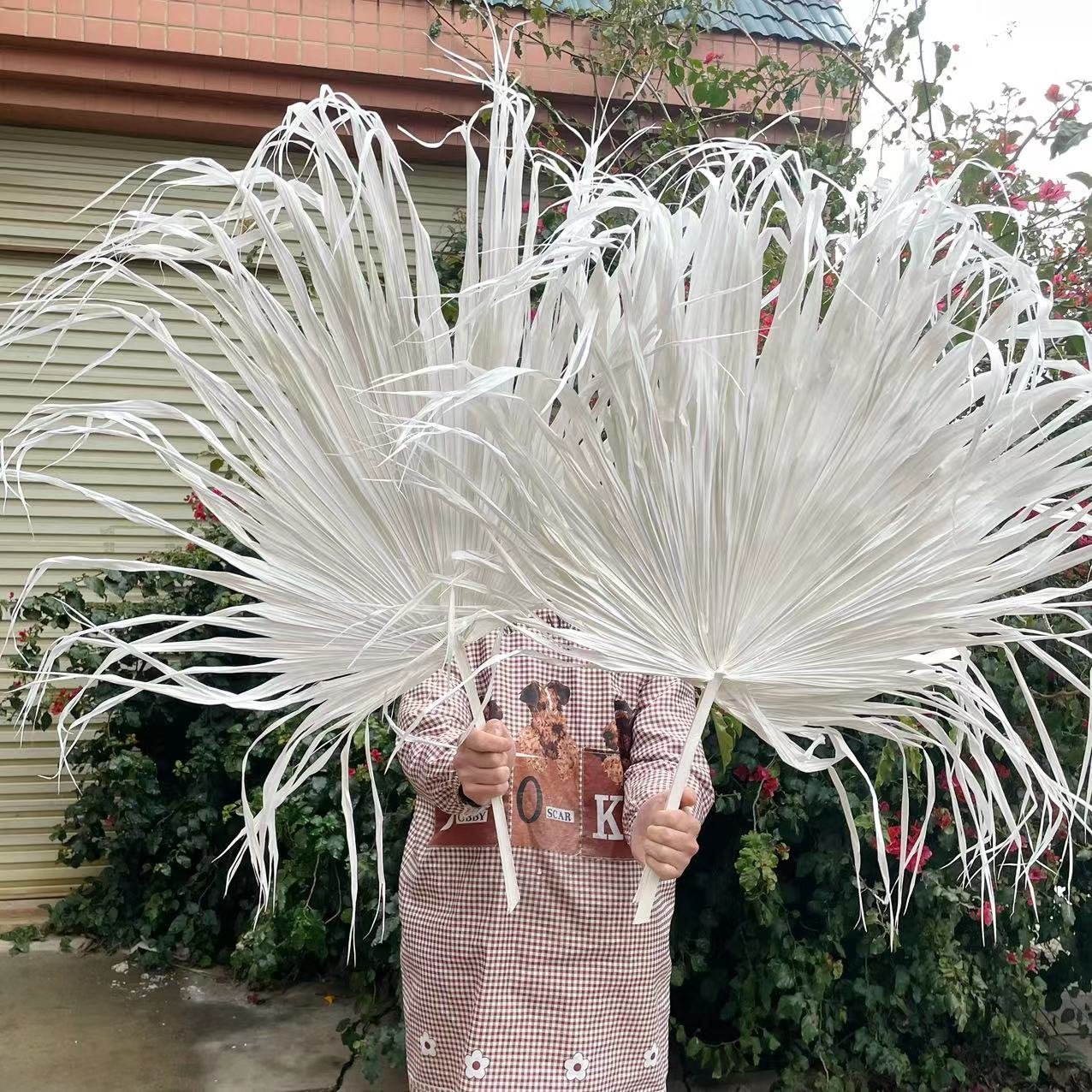 Top Sale Wholesale Dried Flowers Large Dried White Palm Leaves for Decoration