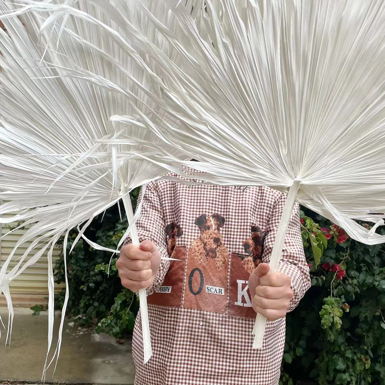 Top Sale Wholesale Dried Flowers Large Dried White Palm Leaves for Decoration