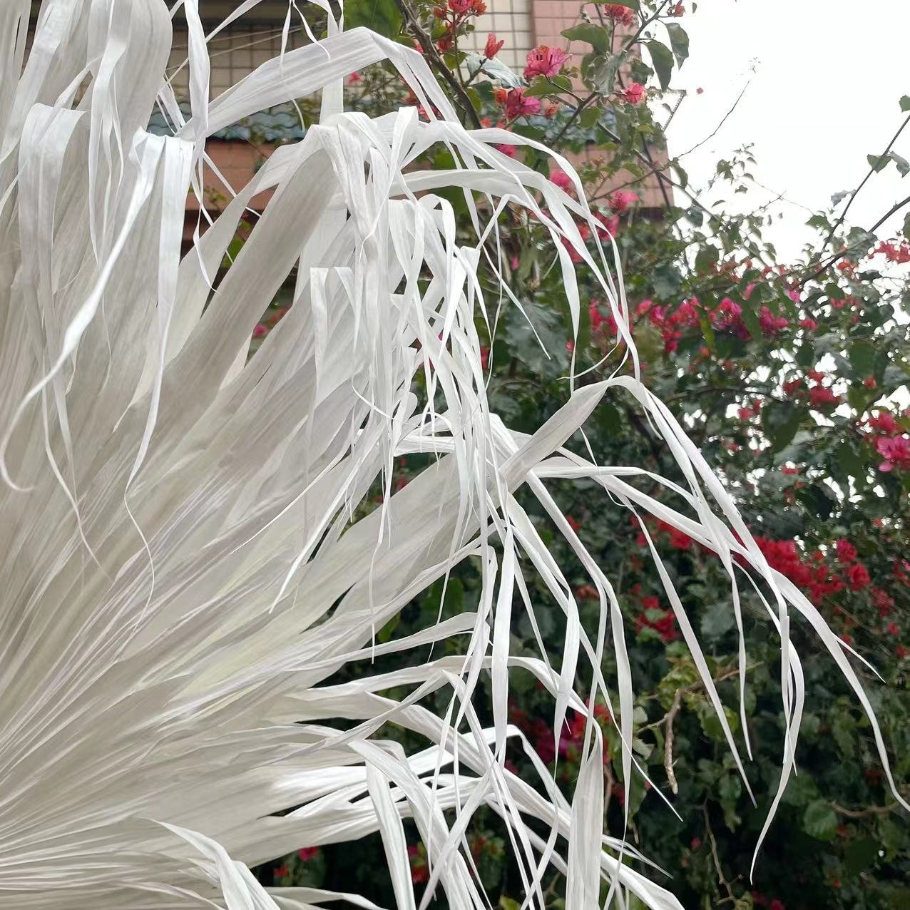 Top Sale Wholesale Dried Flowers Large Dried White Palm Leaves for Decoration