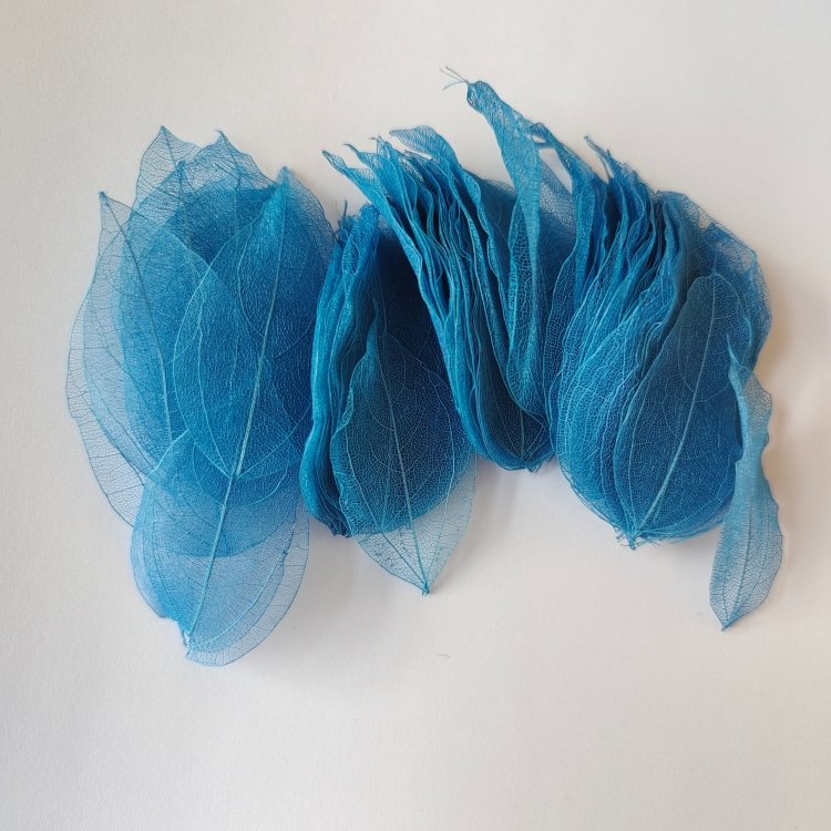 100-Piece Per Bag Dried Flowers with Vein Leaf Venation for Home Decor Bookmarks or Handicrafts