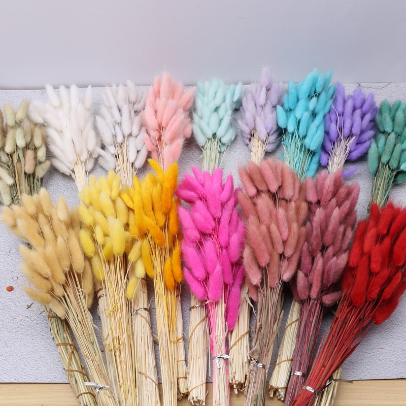 O-X722 Natural Dried Flowers Rabbit Tail Grass Bundle Opp Bag Christmas Decorative Flowers Long Lasting Preserved Bunny Tails
