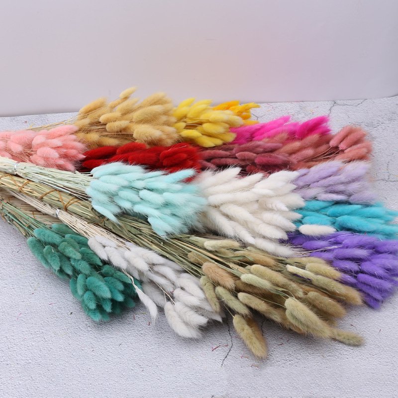 O-X722 Natural Dried Flowers Rabbit Tail Grass Bundle Opp Bag Christmas Decorative Flowers Long Lasting Preserved Bunny Tails
