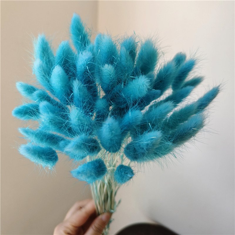 O-X722 Natural Dried Flowers Rabbit Tail Grass Bundle Opp Bag Christmas Decorative Flowers Long Lasting Preserved Bunny Tails
