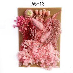 A5-13