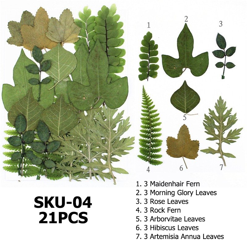 Dried Pressed Leaves For Resin Dried Leaves For Art Diy Handmade Natural Dried Leaf Decoration