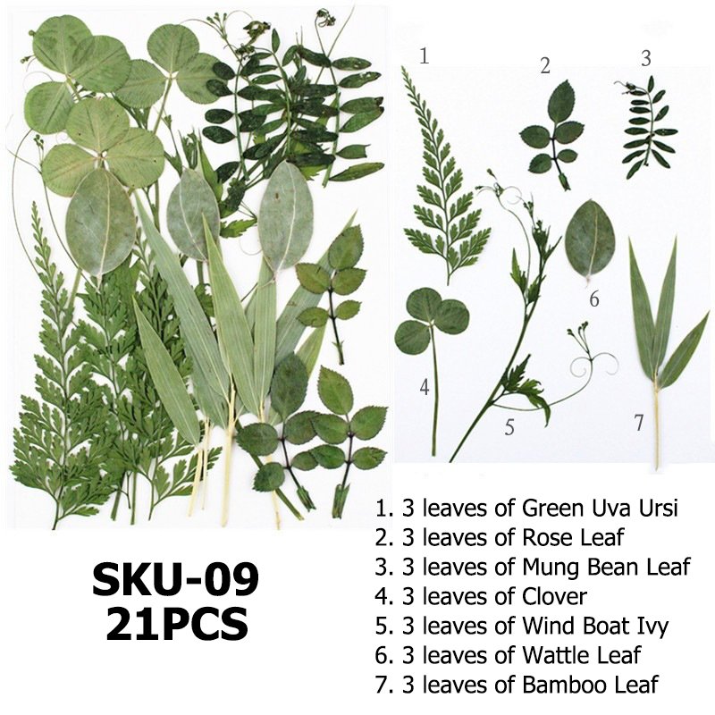 Dried Pressed Leaves For Resin Dried Leaves For Art Diy Handmade Natural Dried Leaf Decoration