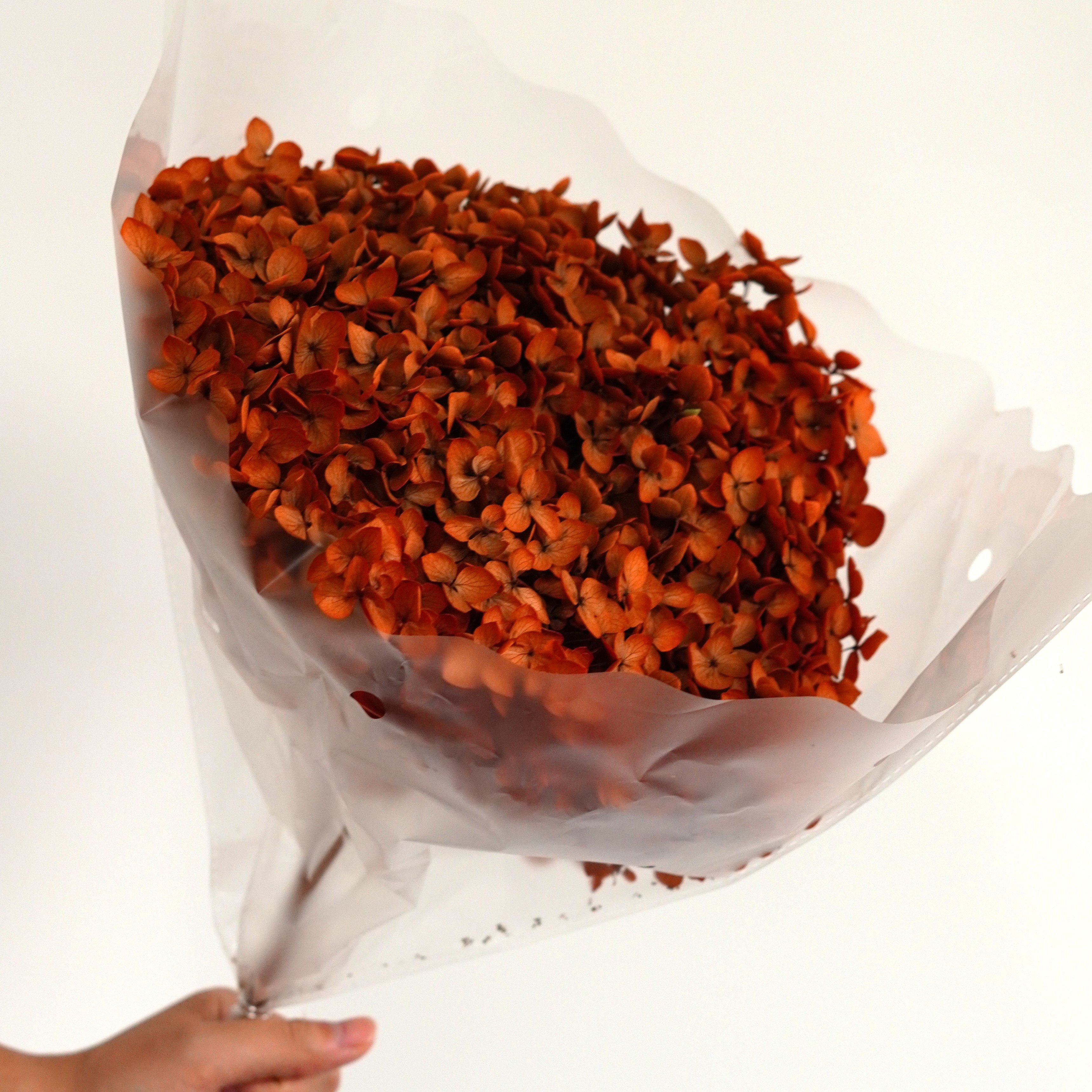 High Quality LARGE Head Preserved Hydrangeas|Dried Flowers|Natural Arrangement