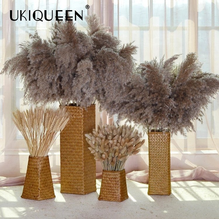 Tall Fluffy Small Beige Home Wedding Decor 17-47 inc Natural Faux Artificial Dried Flowers Pampasgras Pampass Large Pampas Grass