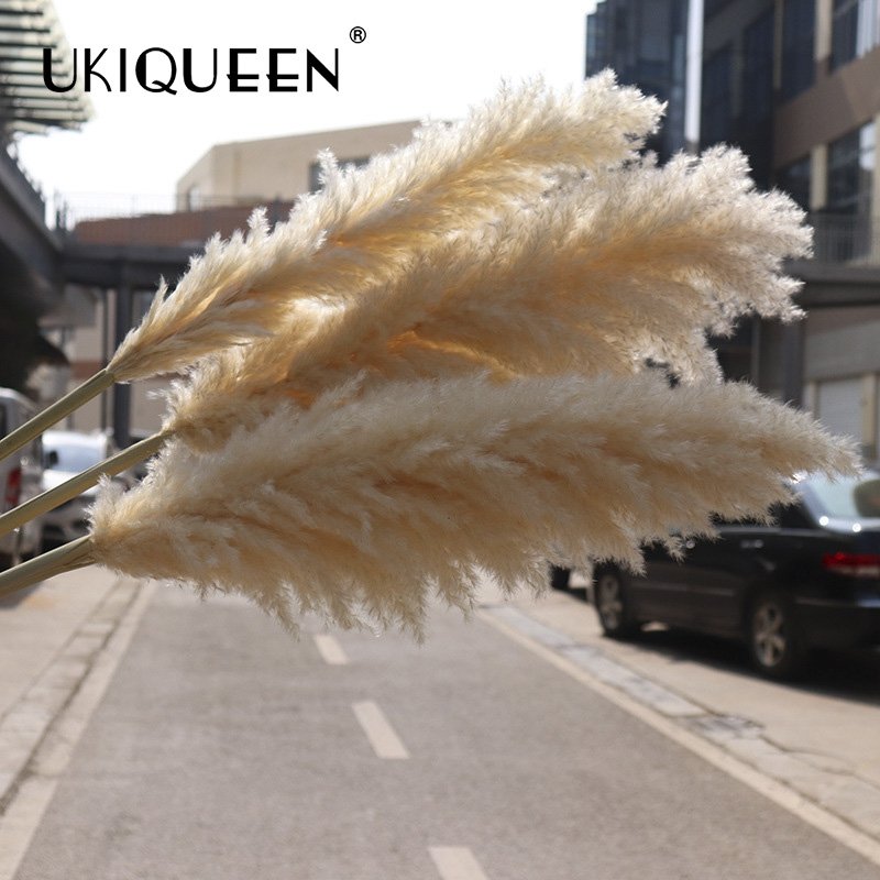 Tall Fluffy Small Beige Home Wedding Decor 17-47 inc Natural Faux Artificial Dried Flowers Pampasgras Pampass Large Pampas Grass