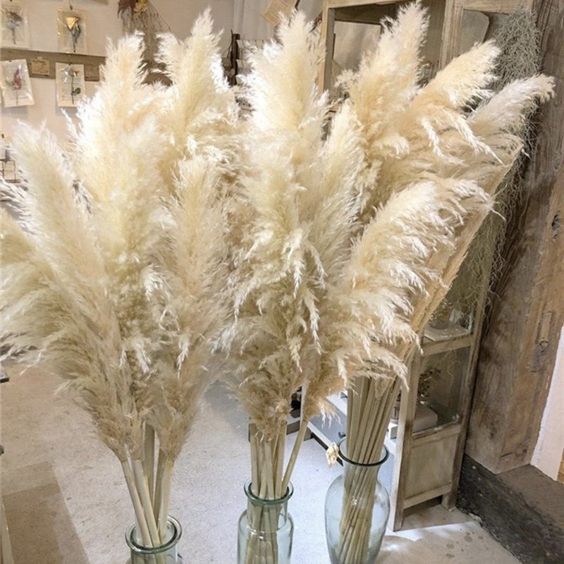 Tall Fluffy Small Beige Home Wedding Decor 17-47 inc Natural Faux Artificial Dried Flowers Pampasgras Pampass Large Pampas Grass
