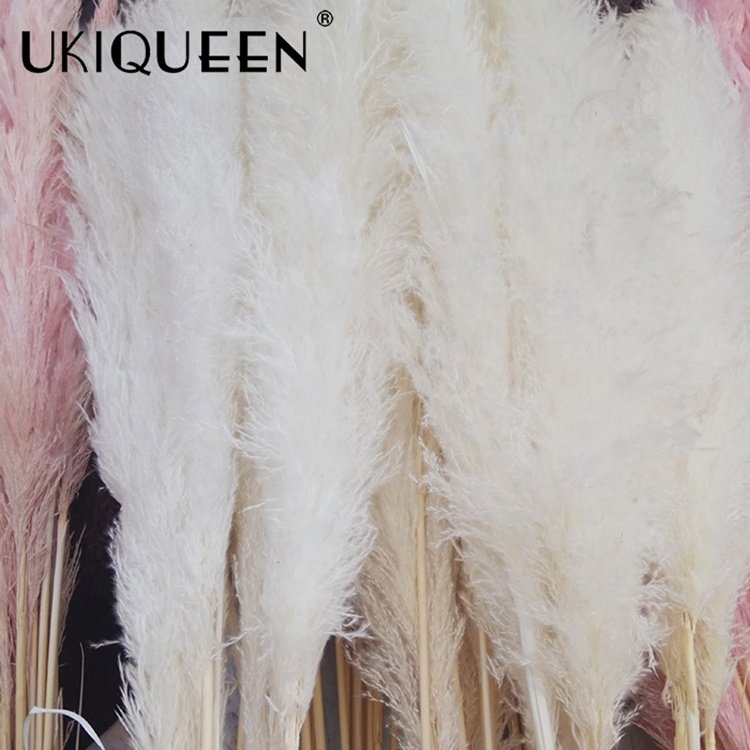 Tall Fluffy Small Beige Home Wedding Decor 17-47 inc Natural Faux Artificial Dried Flowers Pampasgras Pampass Large Pampas Grass