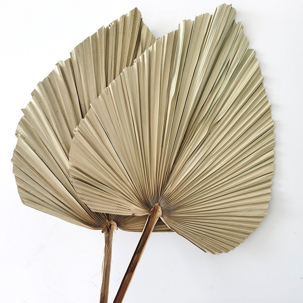 dried flowers and plants for Flower arrangement Home dried leaf natural plant branch leaf floral palm fan palm