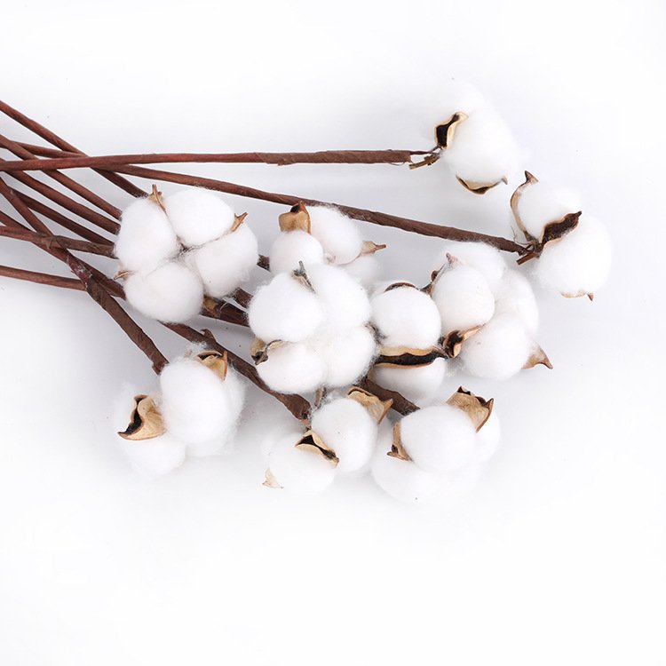 Table Centerpiece Wedding Decoration Office Decor Interior Accessories Home Cotton Dried Flower