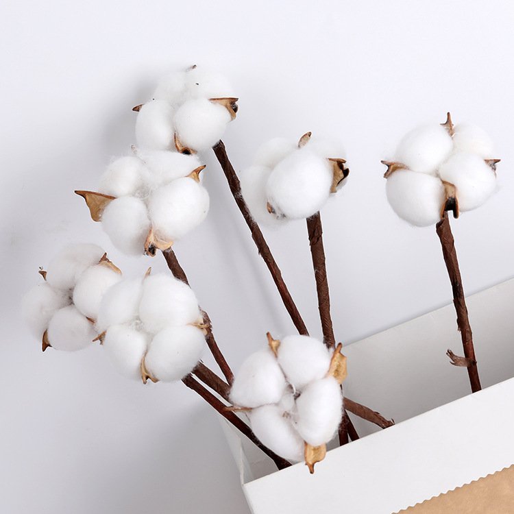 Table Centerpiece Wedding Decoration Office Decor Interior Accessories Home Cotton Dried Flower
