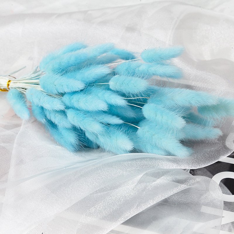 60pcs Wedding Detor Dried Preserved Bunny Tails Grass Flower Multicolor Rabbit Tail Grass for Home decorations DIY Bouquet