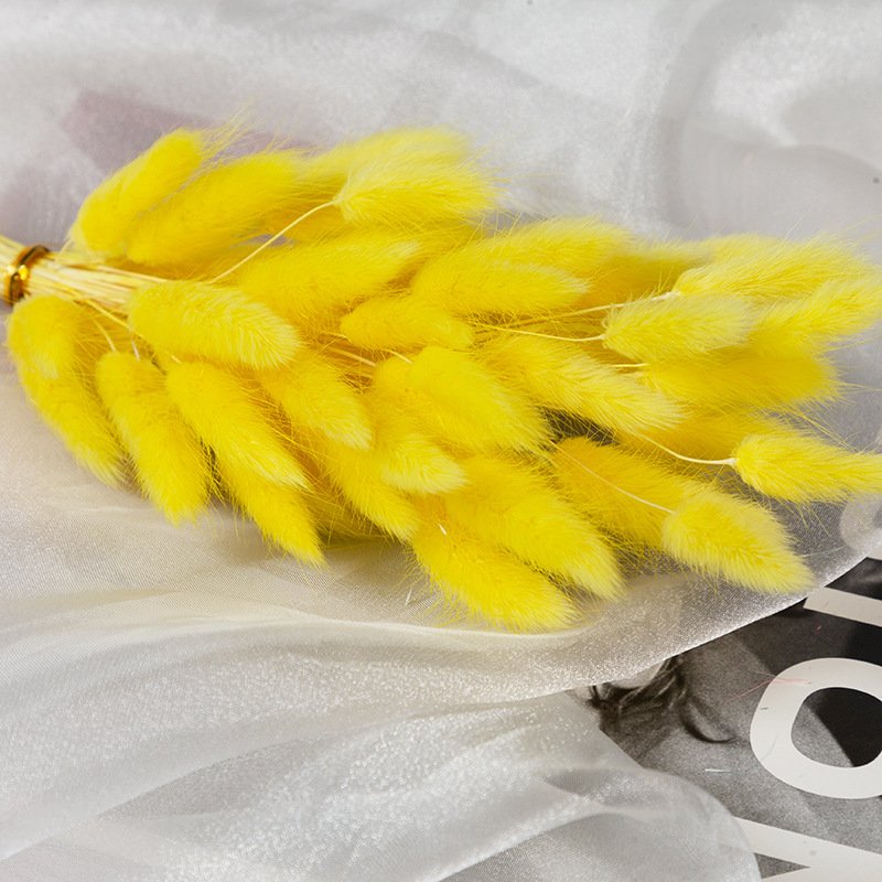 60pcs Wedding Detor Dried Preserved Bunny Tails Grass Flower Multicolor Rabbit Tail Grass for Home decorations DIY Bouquet