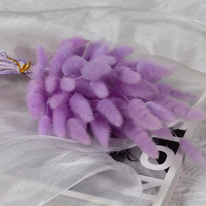 60pcs Wedding Detor Dried Preserved Bunny Tails Grass Flower Multicolor Rabbit Tail Grass for Home decorations DIY Bouquet
