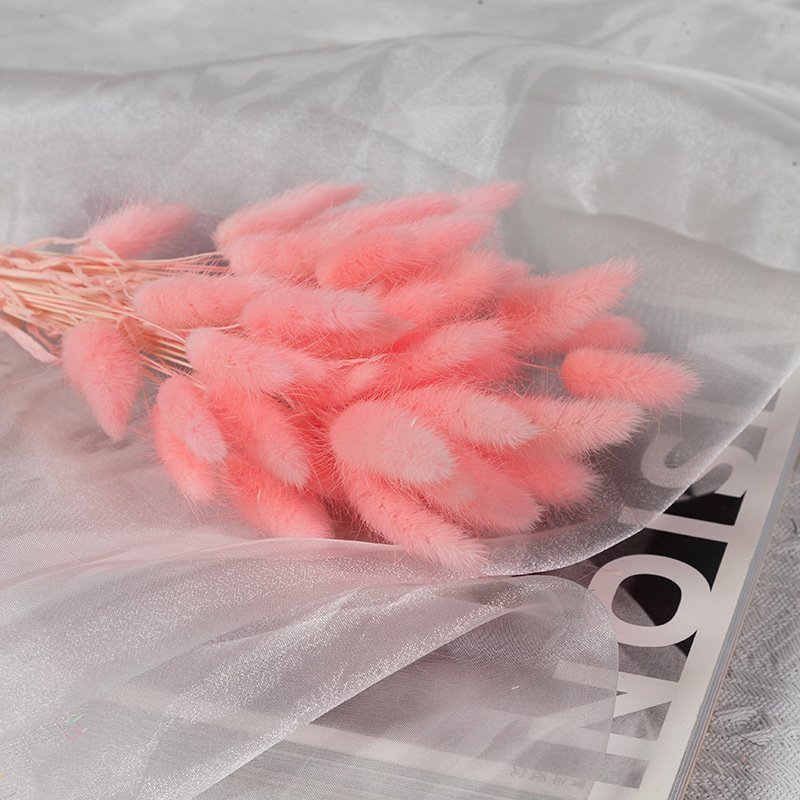 60pcs Wedding Detor Dried Preserved Bunny Tails Grass Flower Multicolor Rabbit Tail Grass for Home decorations DIY Bouquet