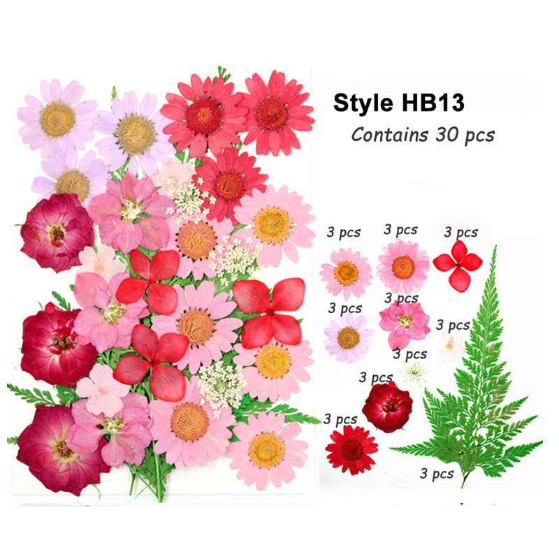 Wholesale Real Natural Dried Pressed Flowers Mini Dry Flower DIY Materials Bag Nail Art Phone Case Jewelry