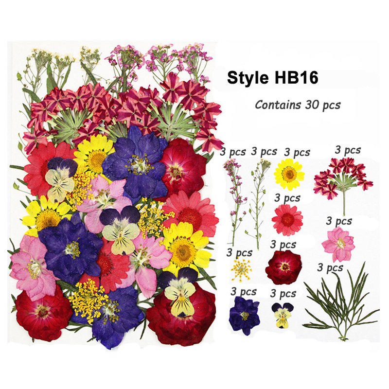 Wholesale Real Natural Dried Pressed Flowers Mini Dry Flower DIY Materials Bag Nail Art Phone Case Jewelry