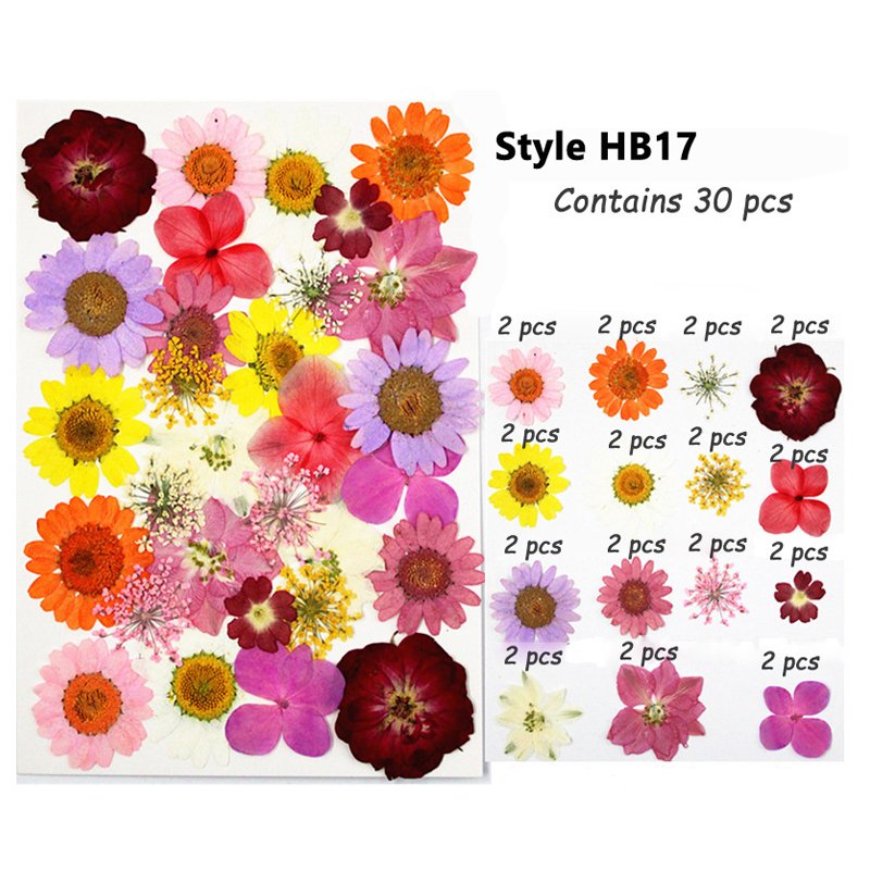 Wholesale Real Natural Dried Pressed Flowers Mini Dry Flower DIY Materials Bag Nail Art Phone Case Jewelry