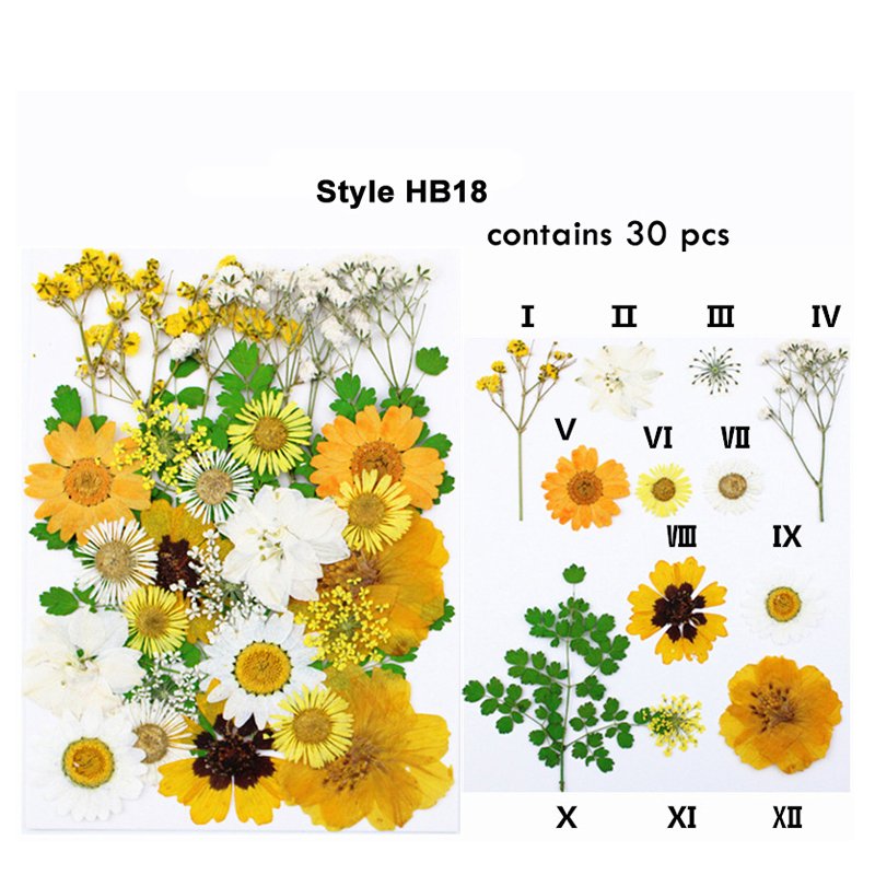 Wholesale Real Natural Dried Pressed Flowers Mini Dry Flower DIY Materials Bag Nail Art Phone Case Jewelry