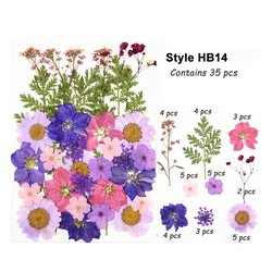 HB-14