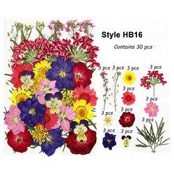 HB-16