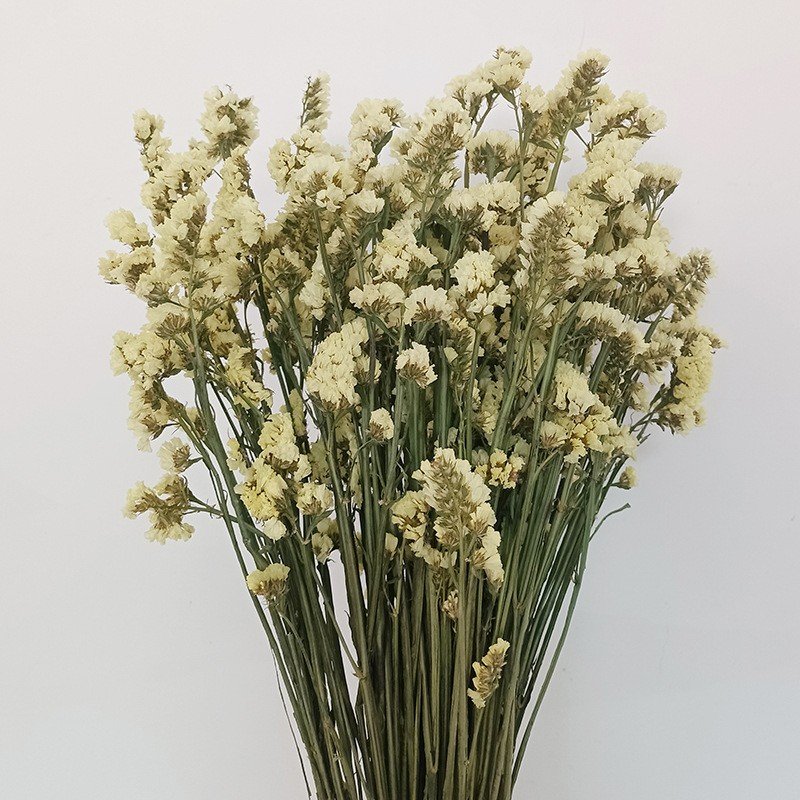 Top Seller Yunnan Dried Flowers Factory Direct Sales Forget Me Not Floral Arrangement and Matching for Home Decor