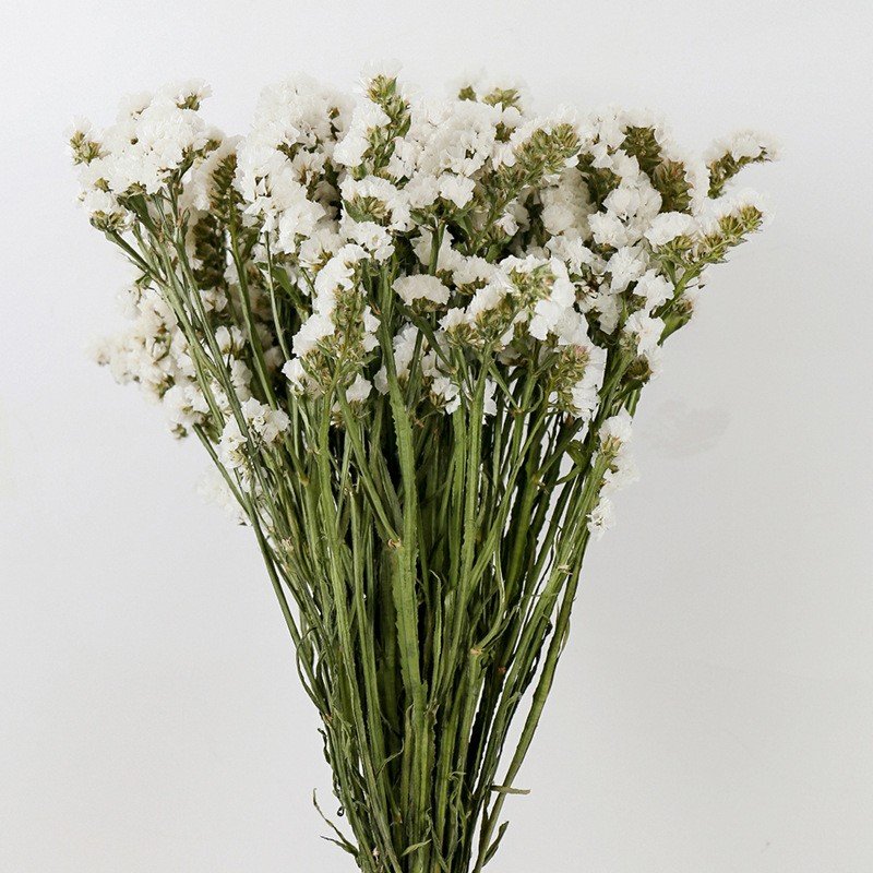 Top Seller Yunnan Dried Flowers Factory Direct Sales Forget Me Not Floral Arrangement and Matching for Home Decor
