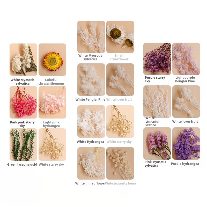 G78 Wedding Flower Arranging Decoration Diy Dried Flower Bag Natural Bulk Lavender Daisy Preserved Dried Flower Material