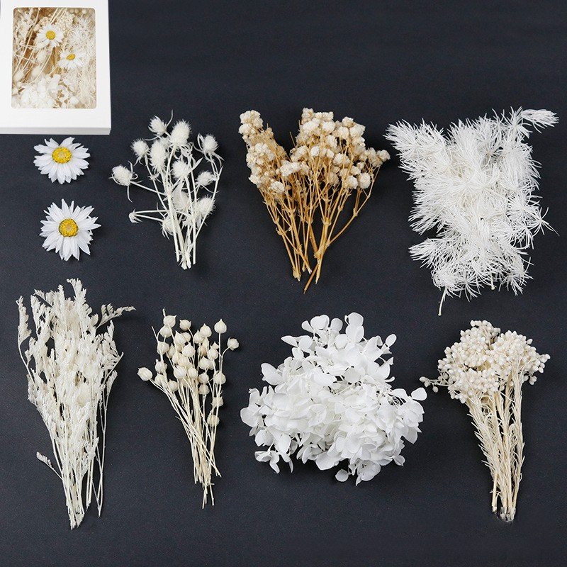 G78 Wedding Flower Arranging Decoration Diy Dried Flower Bag Natural Bulk Lavender Daisy Preserved Dried Flower Material