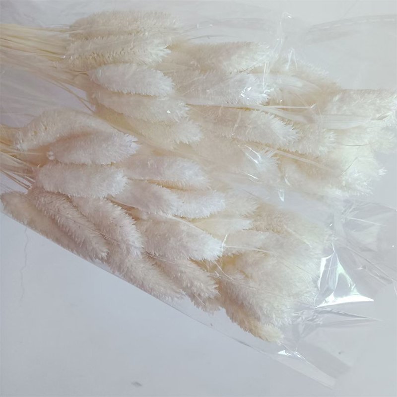 Supply pampas grass and bunny tail white and natural decor colors or big pampas stem including 4 kinds dried grass