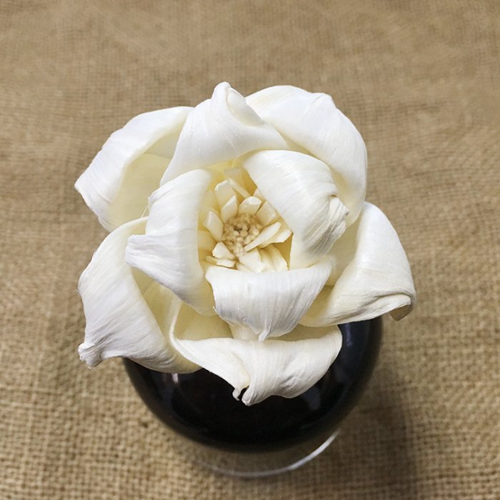 SN010 Factory wholesale dried flower rose 5cm round curling sola wood flower for indoor decoration