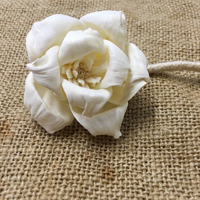 SN010 Factory wholesale dried flower rose 5cm round curling sola wood flower for indoor decoration